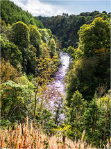 The Avon Gorge