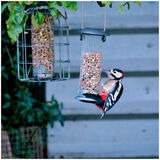 Great Spotted Woodpecker