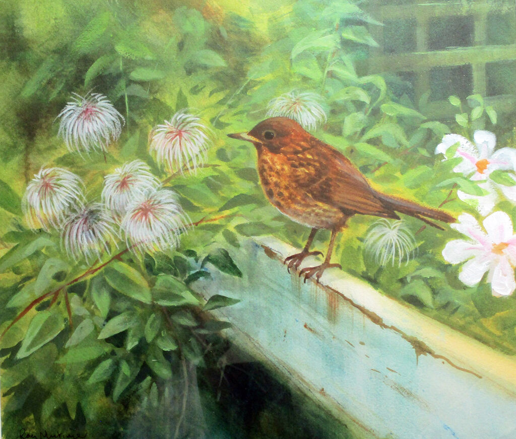 17. Young Bird Wc 48x51