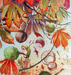 18. Falling conkers Wc 51x49