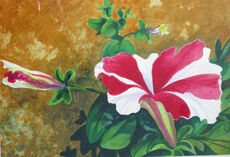 1  Red and  White Ac 45x60