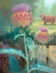 26 Donkey and Thistle