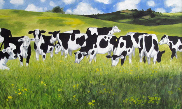 32 Clouds & cows Ac