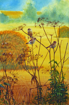 33. Cornfield sparrows Wc