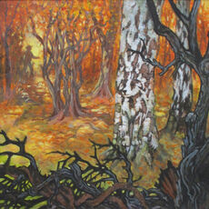 3 Where's the Lost Dog Ac 43x43
