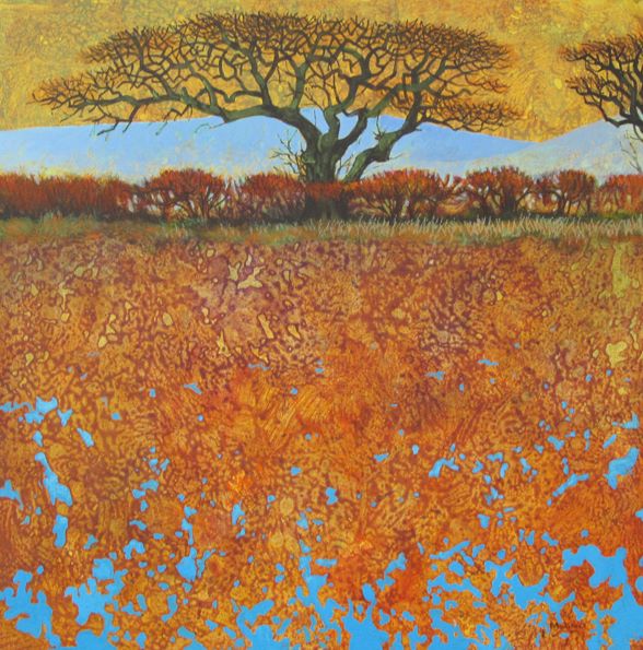 Field after rain