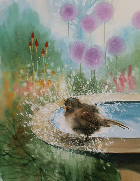 Young bird