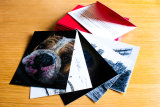 Gift Voucher