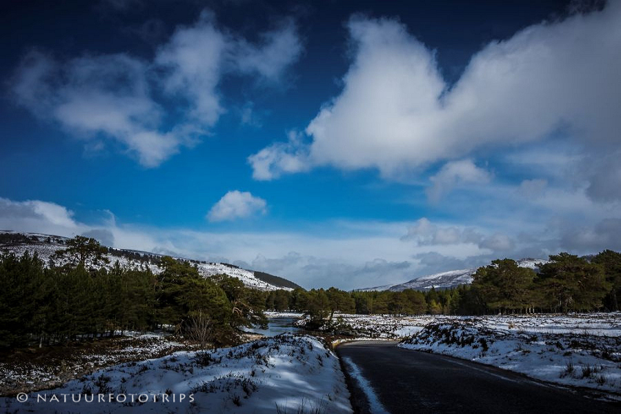 Fotografiereis "de natuur ontwaakt in Royal Deeside"