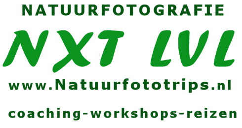 natuurfototrips voor workshops reizen coaching