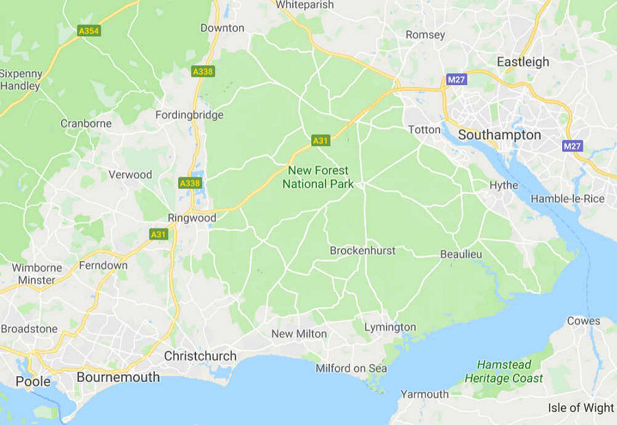fotoreis natuurfototrips naar new forest, engeland