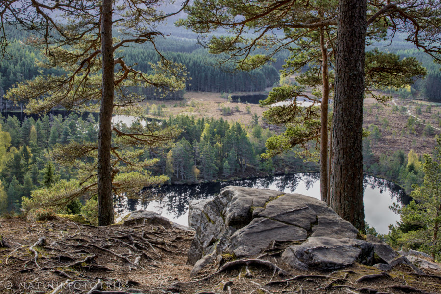 Uath Lochans from above