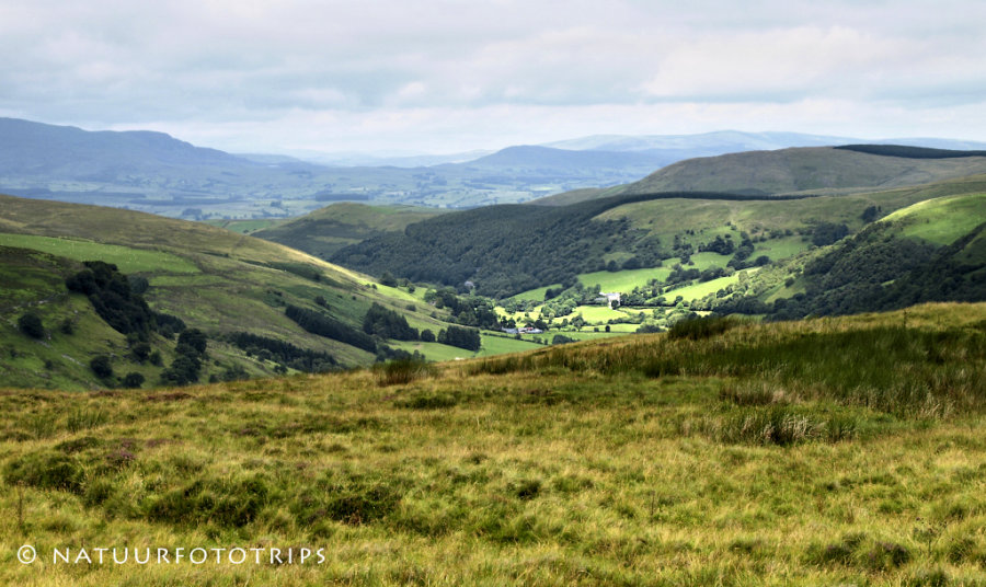Bwlch y croes, wales, fotoreis lente wales natuurfototrips