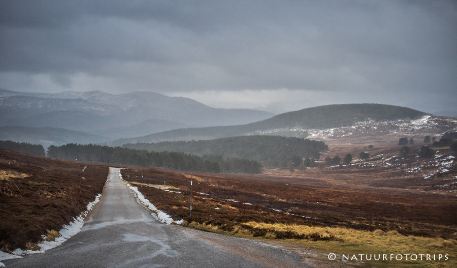 Lecht road