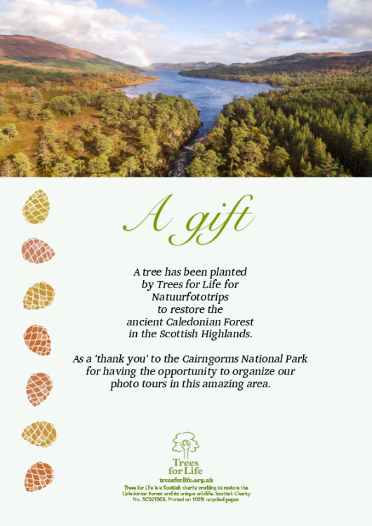 certificate trees for life