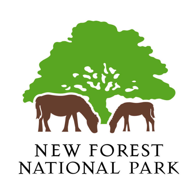 new forest national park