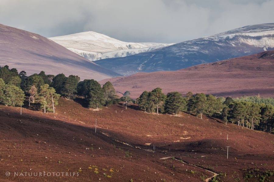 Fotografiereis "het groene hart van de Highlands"