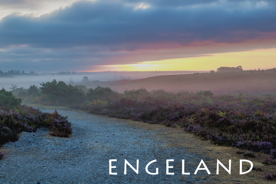 fotoreizen naar engeland - new forest national park