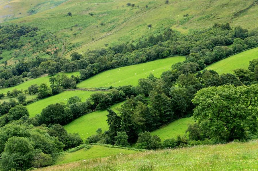 Groen Wales