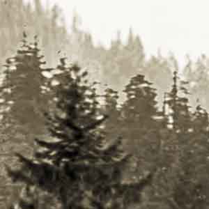 Buster Keaton in 'The General'