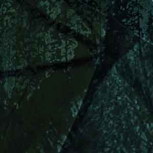 F.W. Murnau's 'Nosferatu'