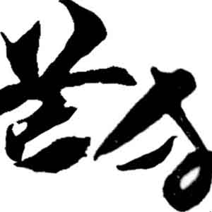 Toshiro Mifune • Akira Kurosawa