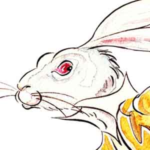 The White Rabbit