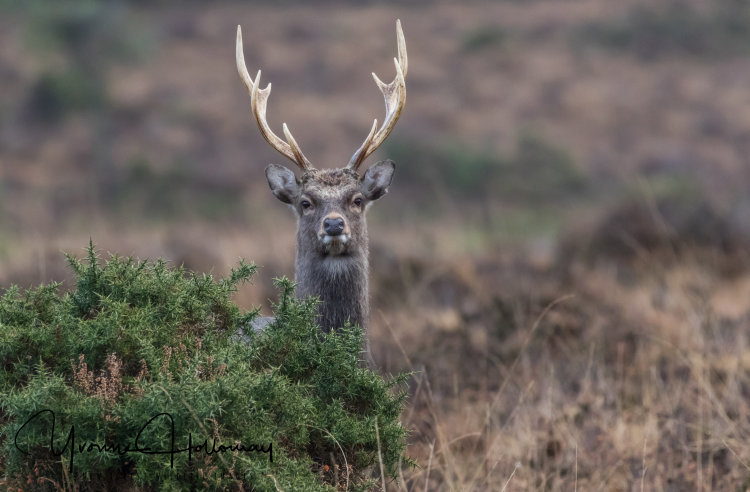 I can see you!