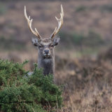 I can see you!