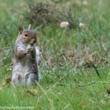 Just a snack