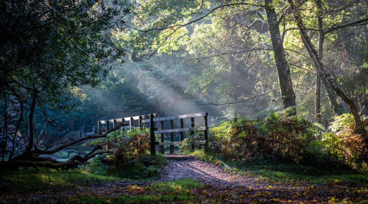 A little bit of magic and mystery - enchanting bridge