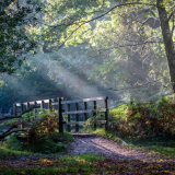 A little bit of magic and mystery - enchanting bridge