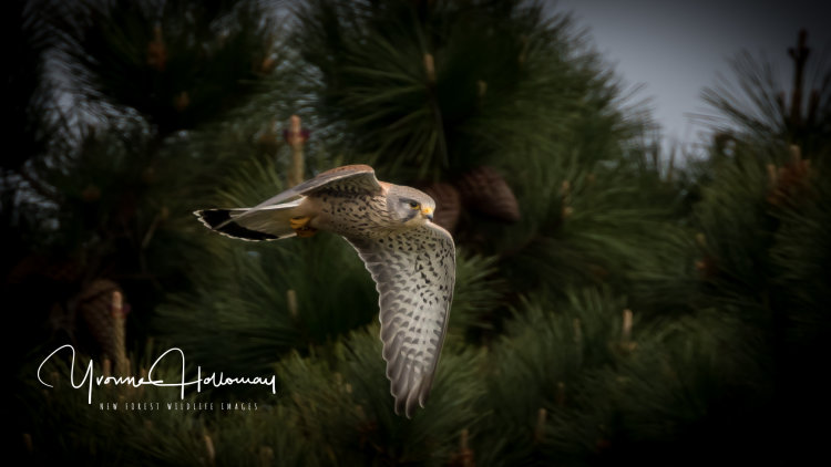 Flying high