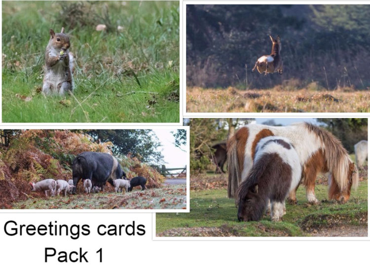 Greetings cards Pack 1