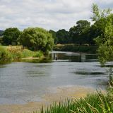 Blackwater River 2018