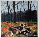 Morkery Wood (2014)