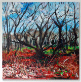 Morkery Wood (2014)