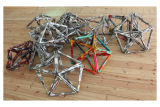 Polygon Net (2011)