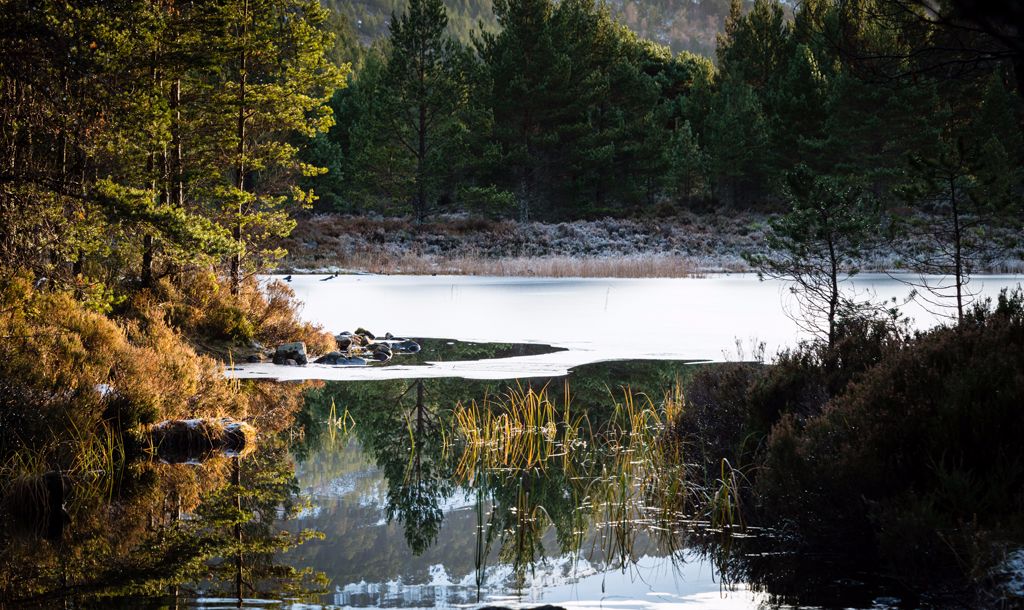 Loch an Eilein