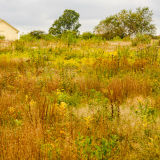 Wells Nature Reserve