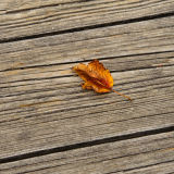 Turning over a red leaf