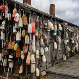 The Buoys of Cape Neddick