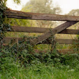 Farm Gate