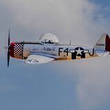 NELLIE B - F47 THUNDERBOLT