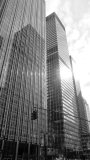 NEW YORK MONO #2