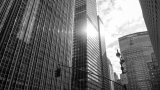 NEW YORK MONO #1