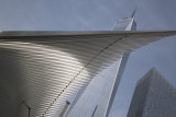 NEW YORK CURVE