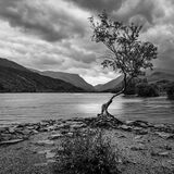 STANDING IN SOLITUDE