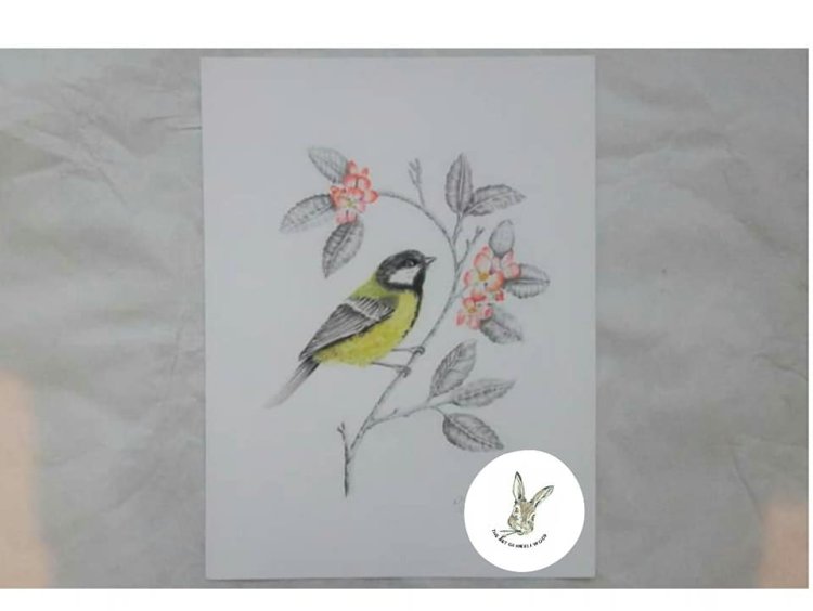 (sale) Parus major 9x12 inch (great tit) £10 plus £2 postage unframed