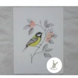 (sale) Parus major 9x12 inch (great tit) £30 plus £2 postage unframed